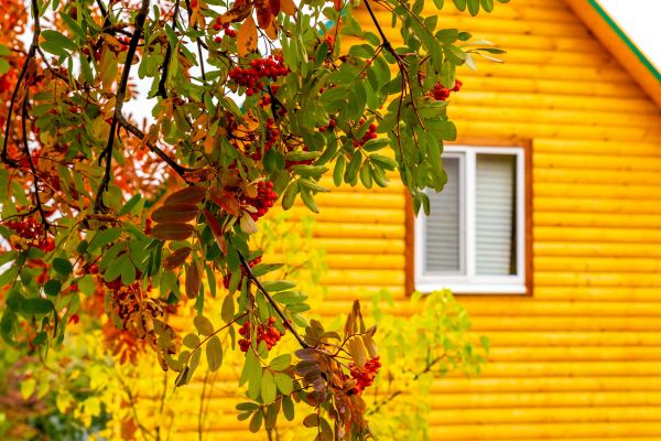 Garden Window Replacement in Fort Myers Beach